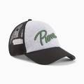 Мужская кепка Puma 025120-01, прев. 0