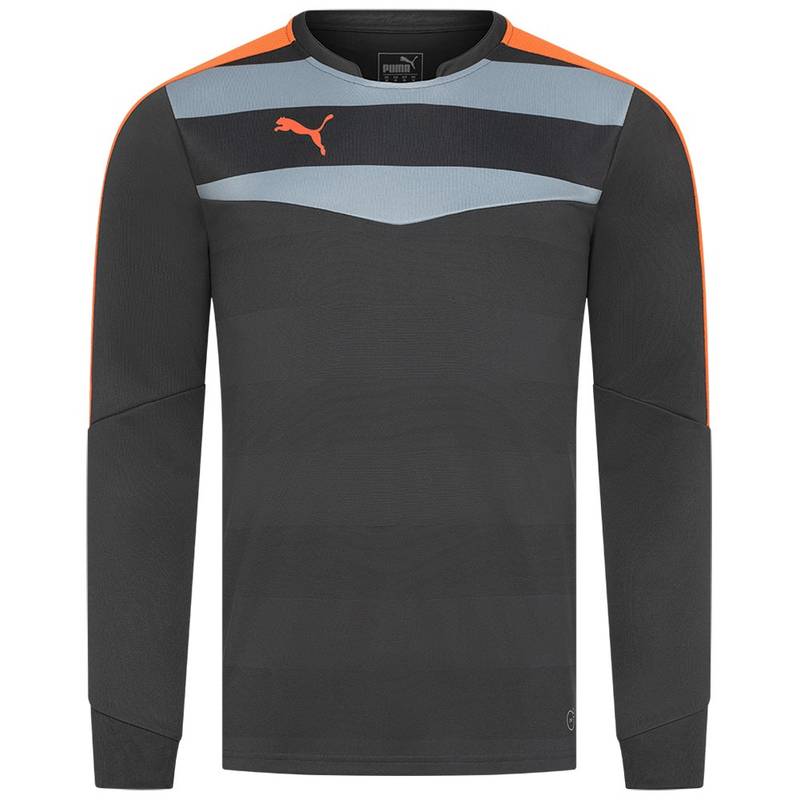 Мужской вратарский реглан PUMA Stadium GK 702089-33, рис. 0