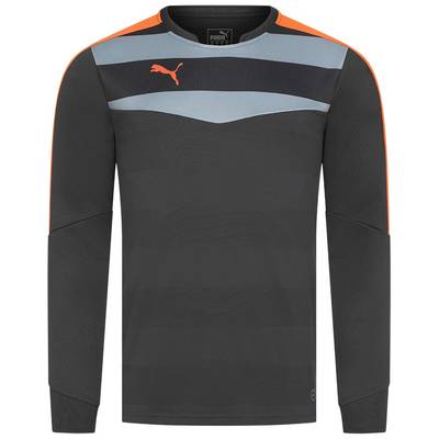 Мужской вратарский реглан PUMA Stadium GK 702089-33