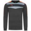 Чоловічий воротарський реглан PUMA Stadium GK 702089-33, прев. 0