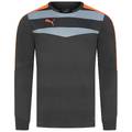 Мужской вратарский реглан PUMA Stadium GK 702089-33, прев. 0