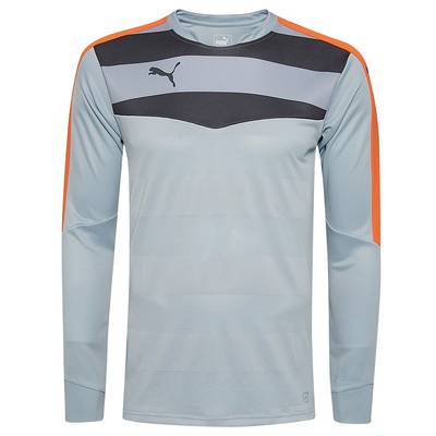 Мужской вратарский реглан PUMA Stadium GK 702089-35