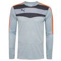 Мужской вратарский реглан PUMA Stadium GK 702089-35, прев. 0