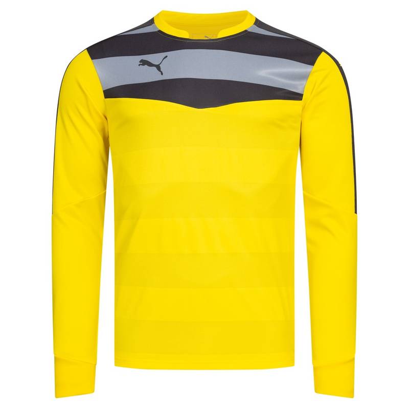 Мужской вратарский реглан PUMA Stadium GK 702089-55, рис. 0