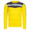 Мужской вратарский реглан PUMA Stadium GK 702089-55, прев. 0