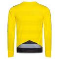 Мужской вратарский реглан PUMA Stadium GK 702089-55, прев. 1