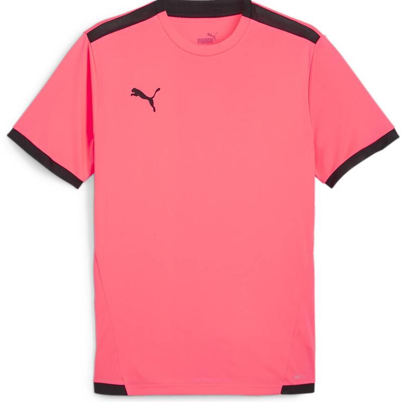 Футболка Puma Teamliga Jersey 704917-57, рис. 0
