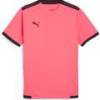 Футболка Puma Teamliga Jersey 704917-57, прев. 0