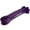 Резина петля Zelart POWER BANDS фіолетовий FI-3917-V, прев. 0