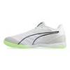 Футзалки Puma Ibero IV White-Speed 107418-01, прев. 1