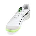Футзалки Puma Ibero IV White-Speed ​​107418-01, прев. 3