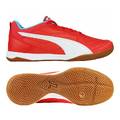 Футзалки PUMA Pressing IV IT 107419-06, прев. 0