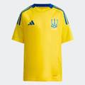 Спортивная футболка детская Украины Adidas FOOTBALL APP IP2189, прев. 1
