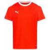 Детская футболка PUMA Liga Jersey 703418-01