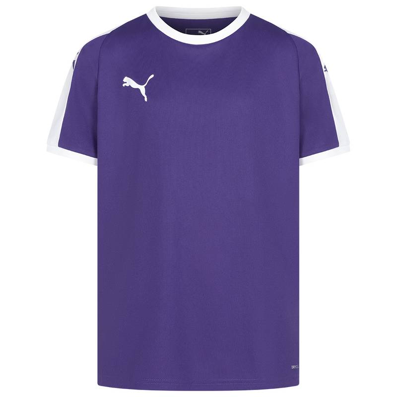 Детская футболка PUMA Liga Jersey 703418-10, рис. 0