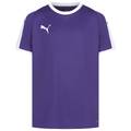 Детская футболка PUMA Liga Jersey 703418-10, прев. 0