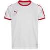 Детская футболка PUMA Liga Jersey 703418-11, прев. 0