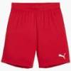 Шорты Puma Youth Team Goal Shorts Red/White 705753-01
