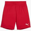 Шорты Puma Youth Team Goal Shorts Red/White 705753-01