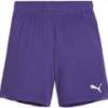 Шорти дитячі PUMA teamGOAL Violet-PUMA 705753-10