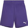 Шорты детские PUMA teamGOAL Violet-PUMA 705753-10