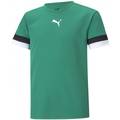 Футболка детская игровая Puma teamRISE 704938-05, прев. 0