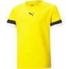 Футболка детская игровая Puma teamRISE 704938-07, прев. 0