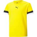 Футболка детская игровая Puma teamRISE 704938-07, прев. 0