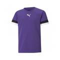 Футболка детская игровая Puma teamRISE 704938-10, прев. 0