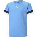 Футболка детская игровая Puma teamRISE 704938-18, прев. 0
