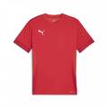 Футболка ігрова Puma TeamGoal Matchday 705747-01, прев. 0