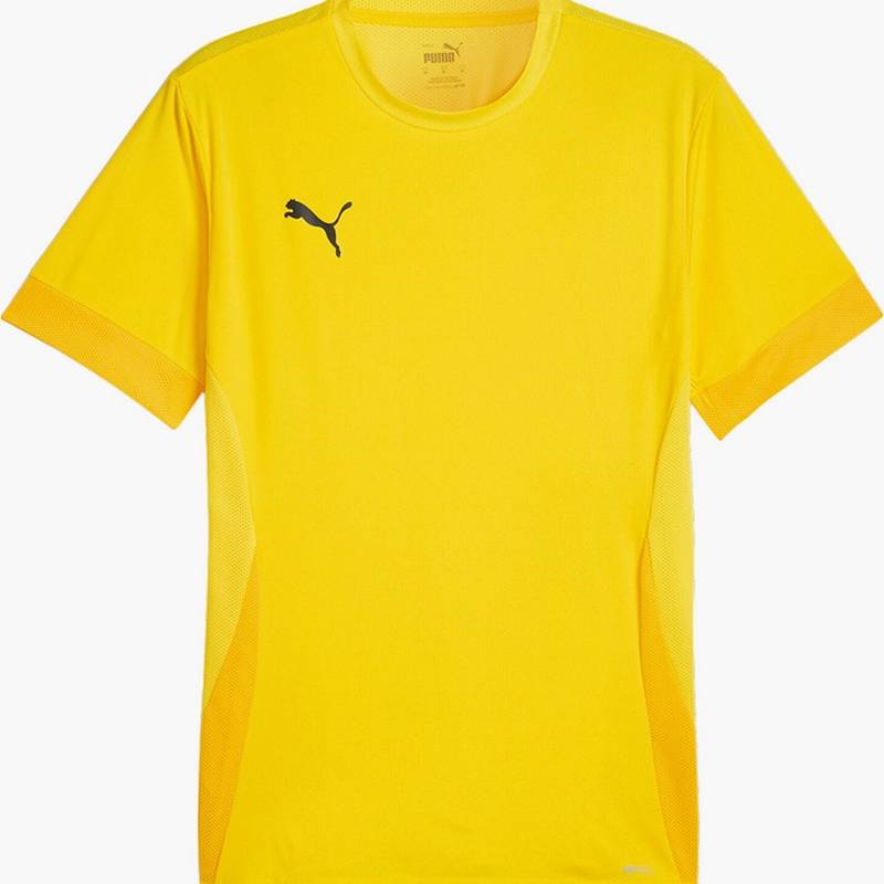 Футболка игровая Puma TeamGoal Matchday 705747-07, рис. 0