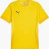 Футболка ігрова Puma TeamGoal Matchday 705747-07, прев. 0