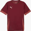 Футболка ігрова Puma TeamGoal Matchday 705747-09, прев. 0