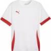 Футболка игровая Puma TeamGoal Matchday 705747-11, прев. 0