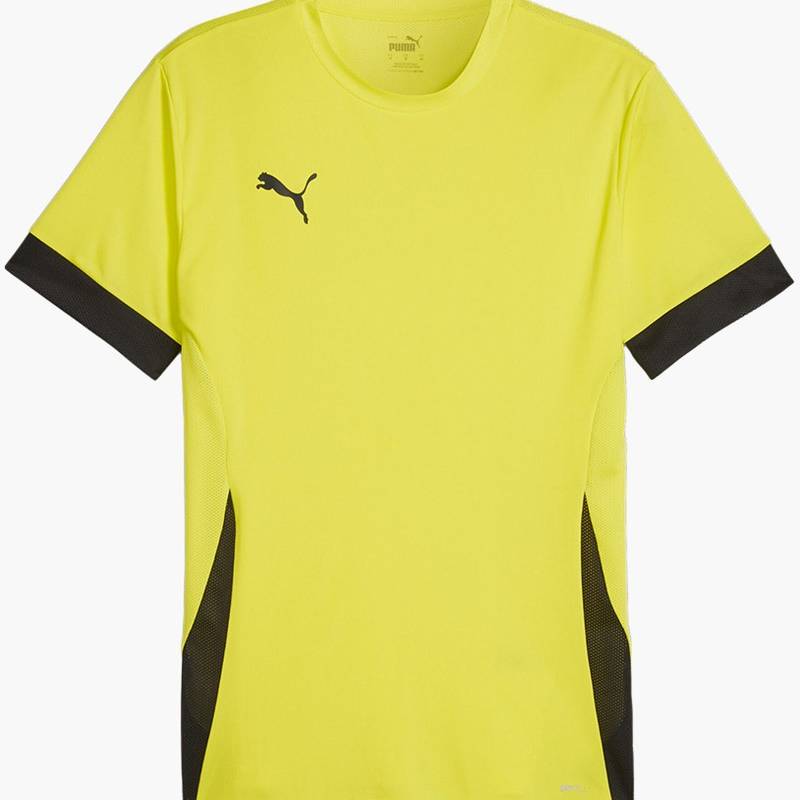 Футболка игровая Puma TeamGoal Matchday 705747-23, рис. 0