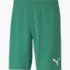 Шорты Puma TEAMRISE SHORT 704942-05, прев. 0