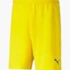 Шорти Puma TEAMRISE SHORT 704942-07, прев. 0