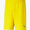 Шорты Puma TEAMRISE SHORT 704942-07, прев. 0