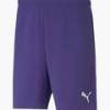 Шорты Puma TEAMRISE SHORT 704942-10, прев. 0