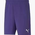Шорты Puma TEAMRISE SHORT 704942-10, прев. 0