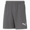 Шорти ігрові дитячі Puma teamRISE 704943-13, прев. 0