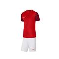 Футбольна форма для команд Nike Trophy 2025 DR0933-657+BV6855-103 12 комплектів, прев. 1
