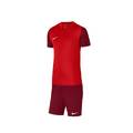 Футбольна форма для команд Nike Trophy 2025 DR0933-657+BV6855-677 12 комплектів, прев. 1