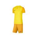 Футбольная форма для команд Nike Trophy 2025 DR0933-719+BV6855-739 12 комплектов, прев. 1