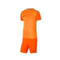Футбольная форма для команд Nike Trophy 2025 DR0933-819+BV6855-819 12 комплектов, прев. 1