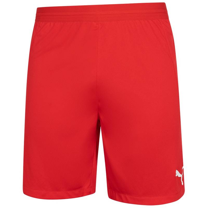Мужские шорты PUMA teamFINAL 704257-06, рис. 1