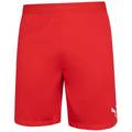 Мужские шорты PUMA teamFINAL 704257-06, прев. 1