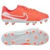 Дитячі бутси Nike Tiempo Legend 10 Academy FG/MG DV4348-800, прев. 0