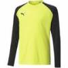 Воротарська кофта Puma teamPACER GK LS Junior 704939-42, прев. 0